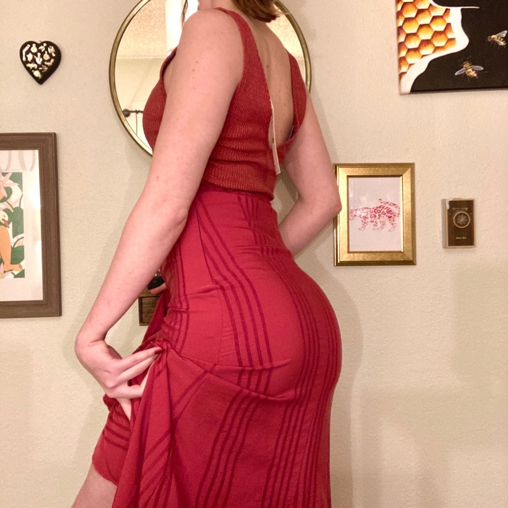 Zara Flamingo Dress